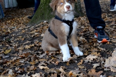 DSC_0129-001
